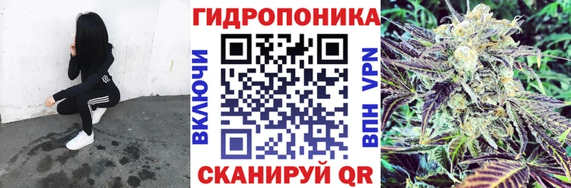 ГАШИШ Оса