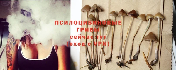 спиды Нея