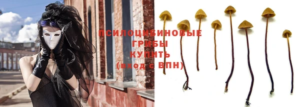 мет Надым