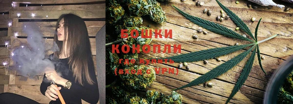 спиды Нея