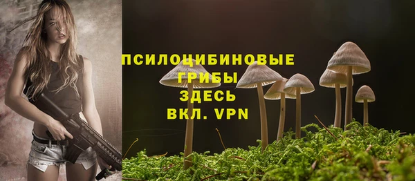 спиды Нея