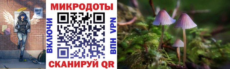 Галлюциногенные грибы мицелий  Оса 